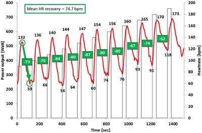 Frontiers High Intensity Interval Training Leads to Greater